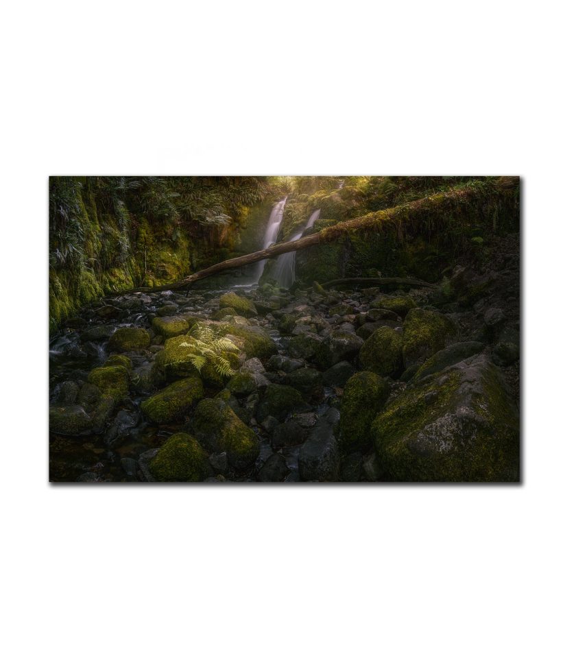 Green Forest