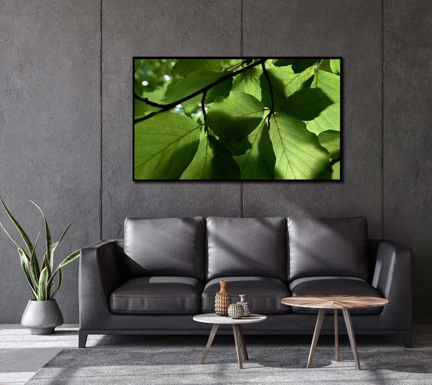 Green leaves - Image 4