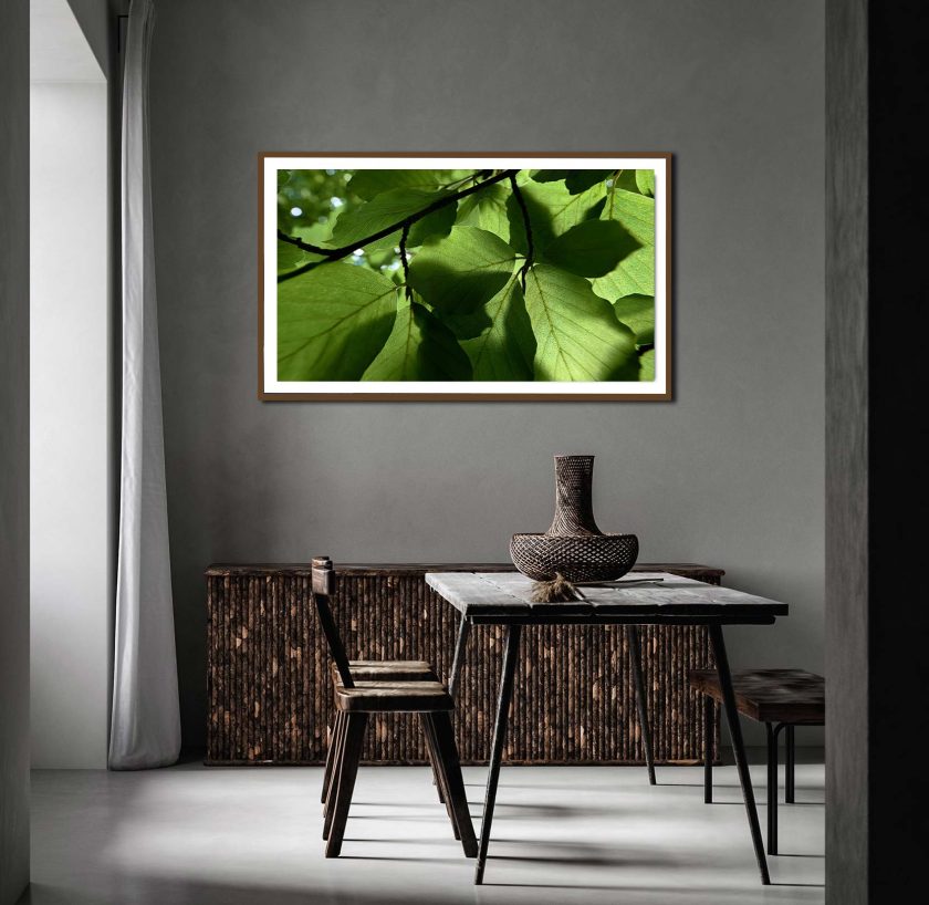 Green leaves - Image 3