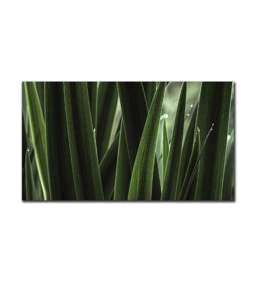 Green grass