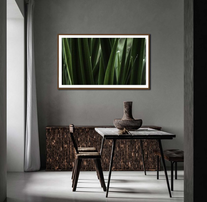 Green grass - Image 3