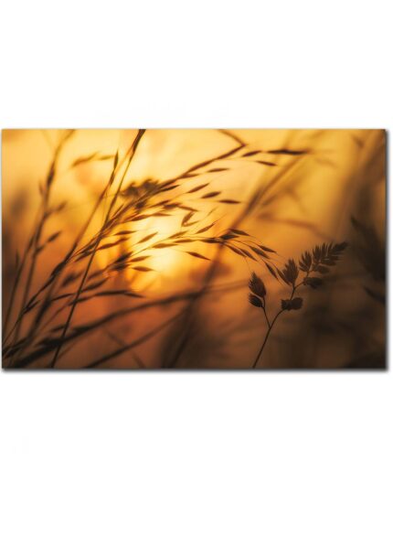 Golden hour sunrise II