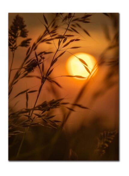 Golden hour sunrise