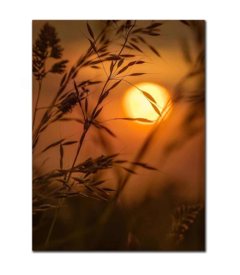 Golden hour sunrise