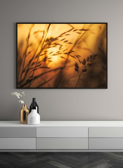 Golden hour sunrise II