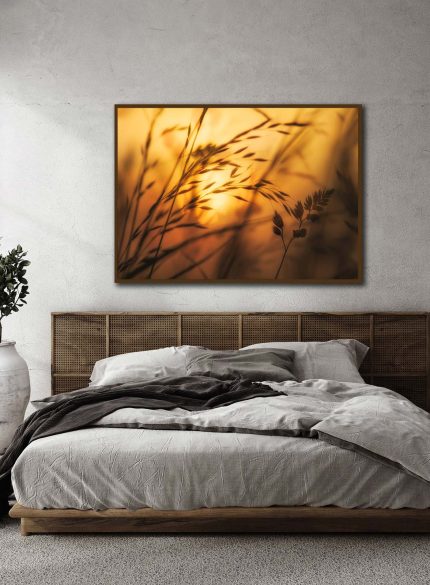 Golden hour sunrise II