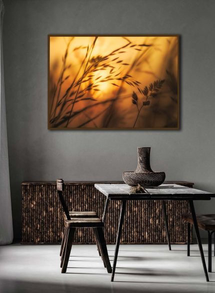 Golden hour sunrise II