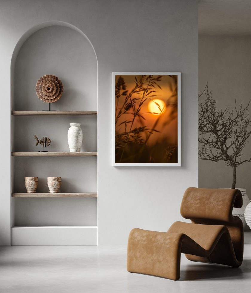 Golden hour sunrise - Image 3