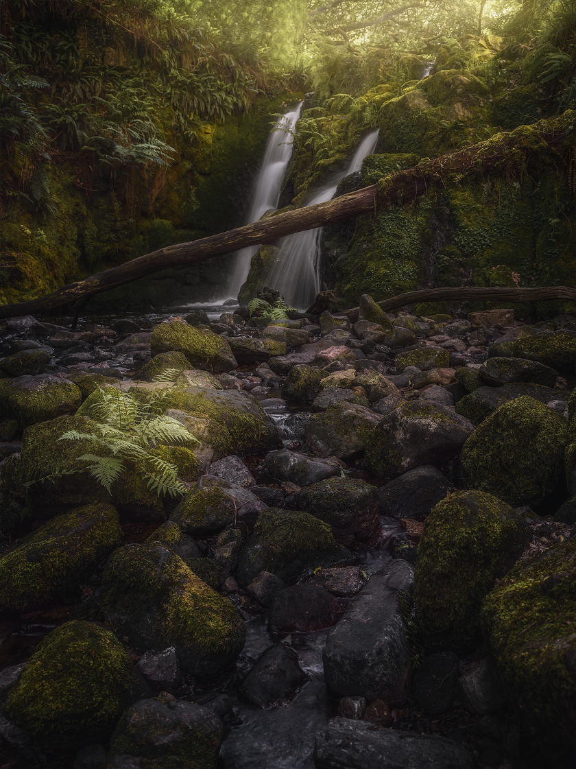 Green Forest II - Image 6