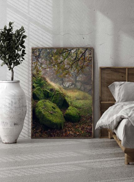 Millstone -Padley Gorge