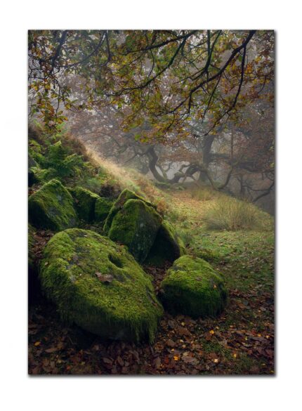 Millstone -Padley Gorge