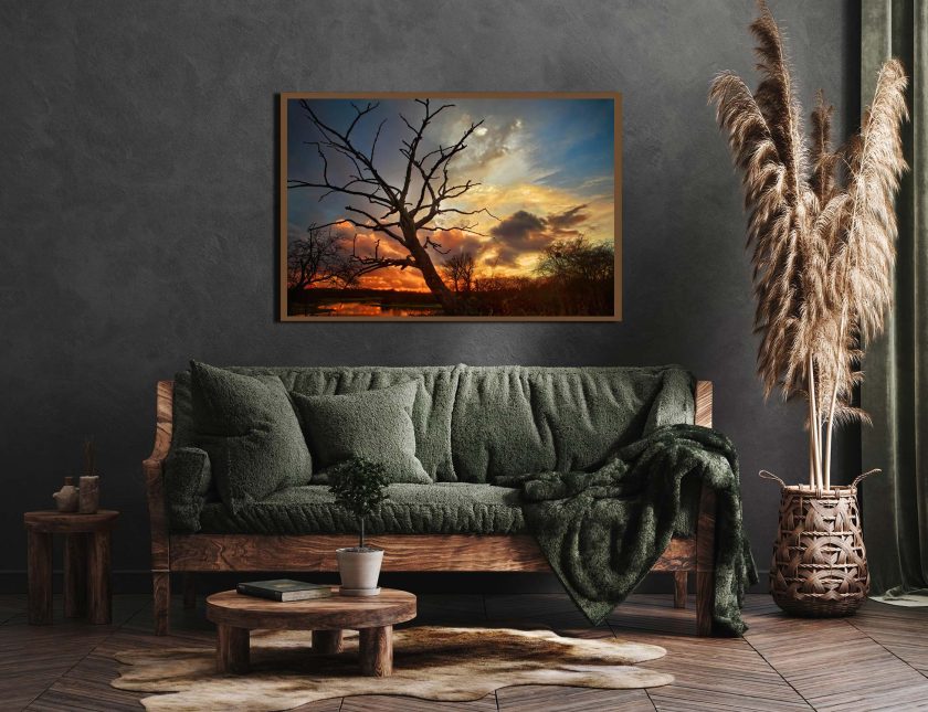 Tree at sunset - Image 5