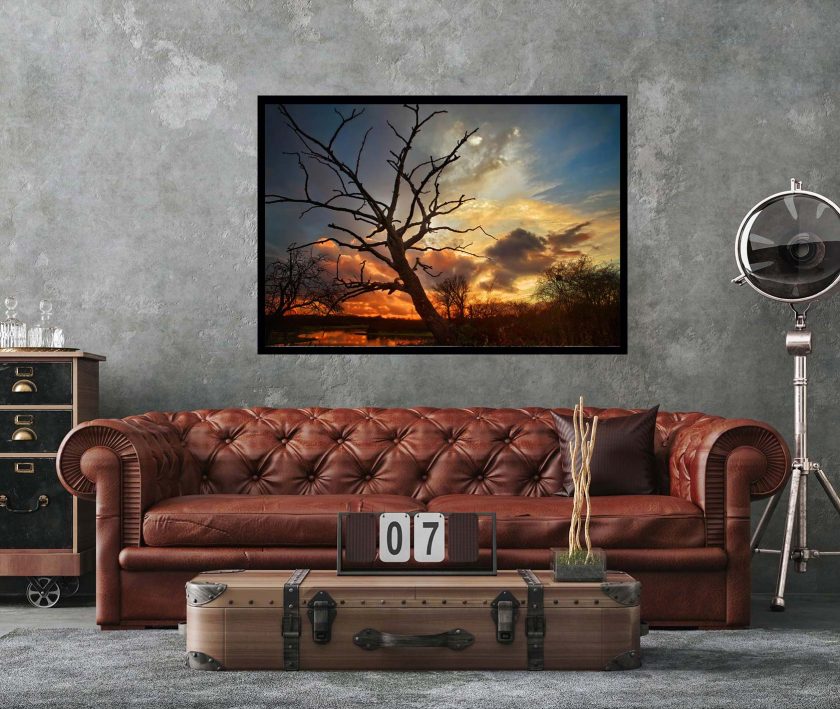 Tree at sunset - Image 2