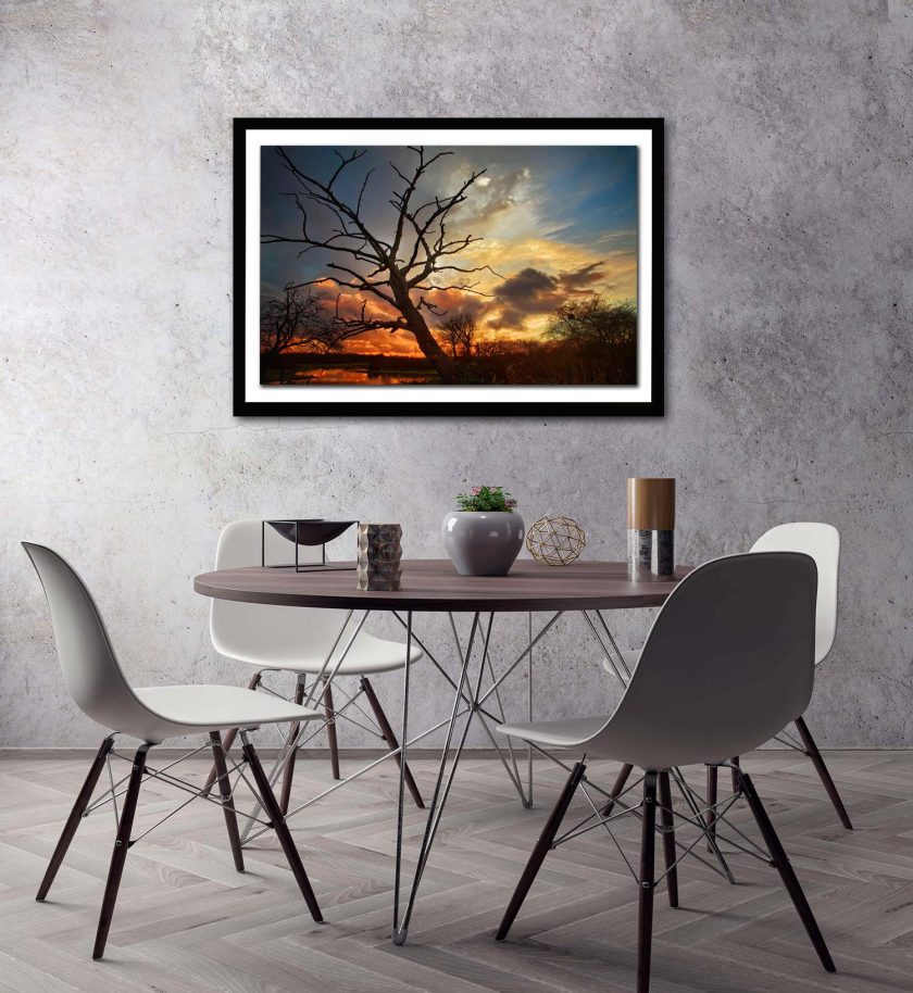 Tree at sunset - Image 4