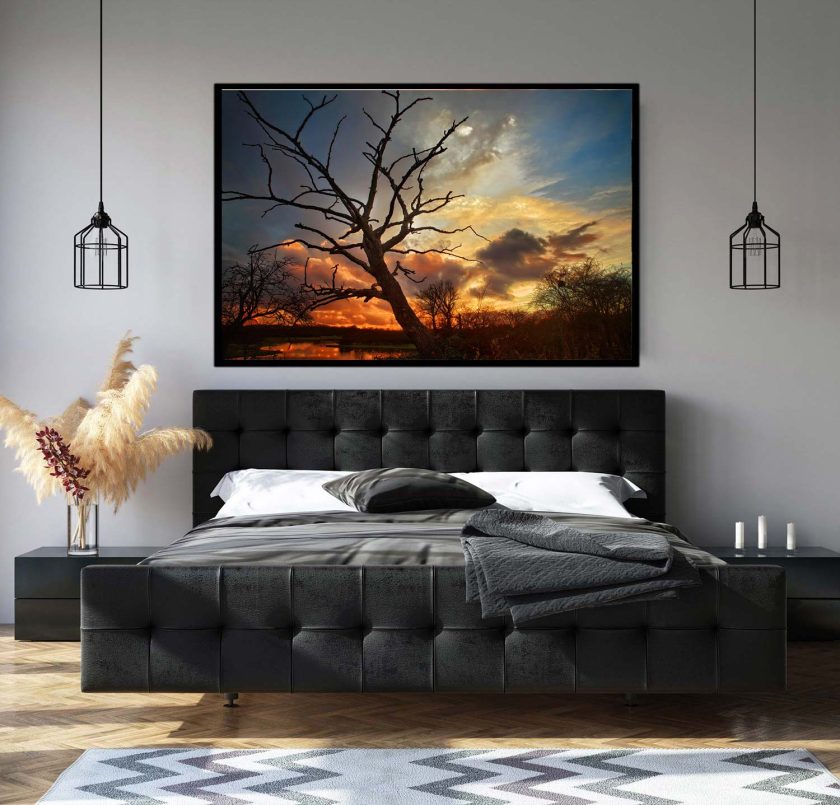 Tree at sunset - Image 3