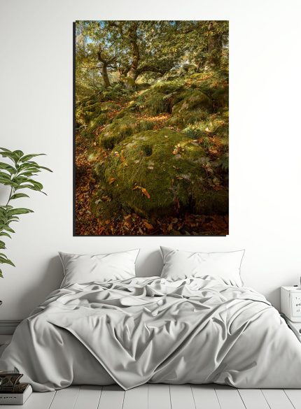 Padley Gorge Millstone - Peak District England