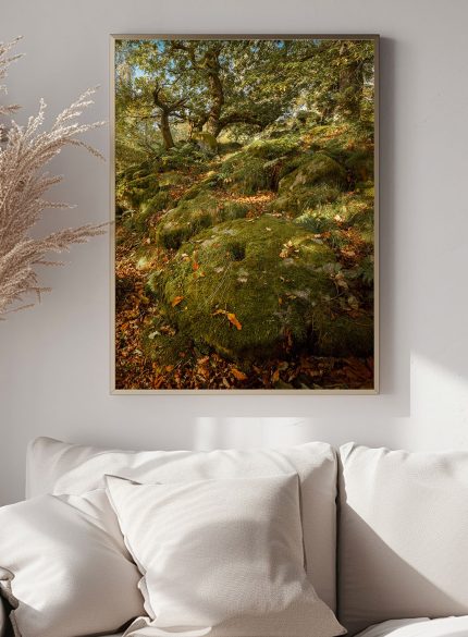 Padley Gorge Millstone - Peak District England