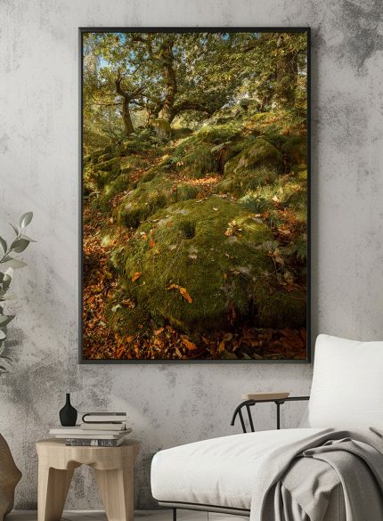 Padley Gorge Millstone - Peak District England