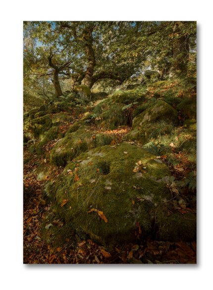 Padley Gorge Millstone - Peak District England