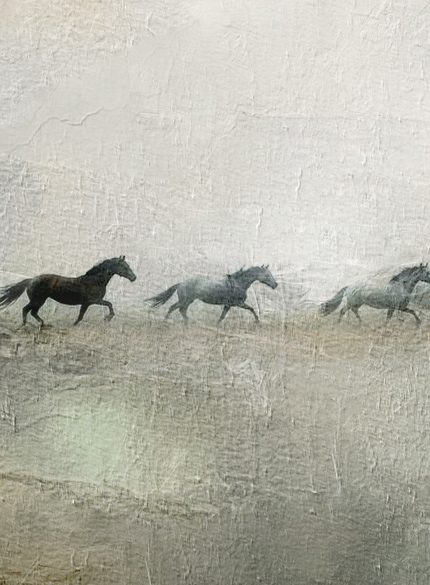 Horse Painting on Canvas – Large Original Equine Art