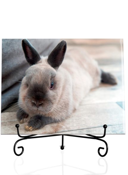 Personalised Ceramic Photo Tile – Luxury Gift in Elegant Black Presentation Box + Metal Stand & Certificate